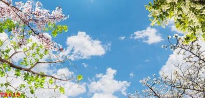 File ảnh File tranh trần mây 3d TR619 (gốc) cho trang trí nội thất