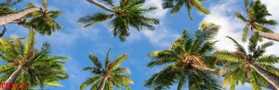 File ảnh File tranh trần mây 3d TR626 (gốc) dùng in Pano