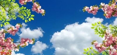 File gốc File tranh trần mây 3d TR643 (in tráng gương) hiện đại