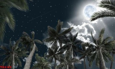 File tranh gốc File tranh trần mây 3d TR649 (bản quyền) Filetranh.com