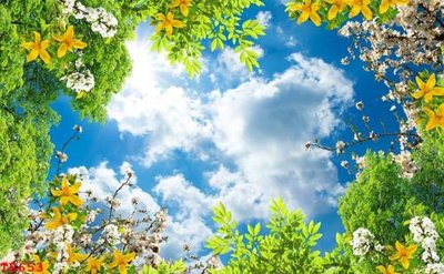 File gốc File tranh trần mây 3d TR653 (PNG) không nền chất lượng