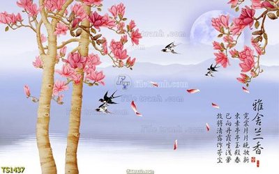 File in trần File hoa trang sức TS1437 (file gốc) xuyên sáng