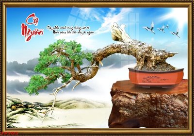 Download file gốc File tranh chậu mai bonsai 393BS (in mica) trong suốt
