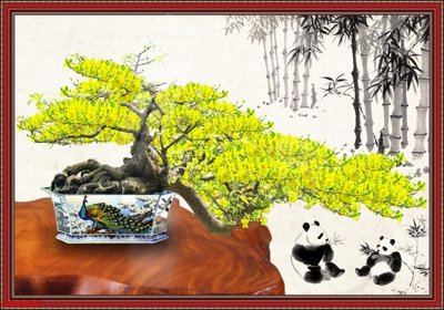 File tranh in mica File tranh chậu mai bonsai 400BS (độ phân giải cao)