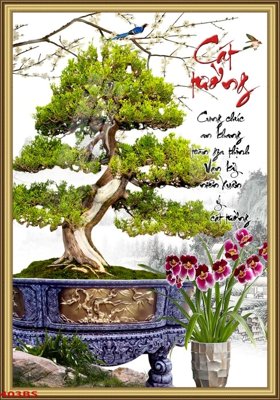 Tải file gốc File tranh chậu mai bonsai 403BS (bản PSD) còn layer