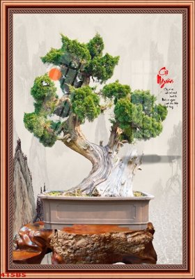 File in ấn File tranh chậu mai bonsai 415BS (bản gốc) từ file gốc