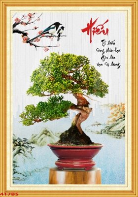 File tranh File tranh chậu mai bonsai 417BS (ảnh gốc) độc quyền