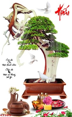 File in trần File tranh chậu mai bonsai 433BS (bản gốc) mây trời