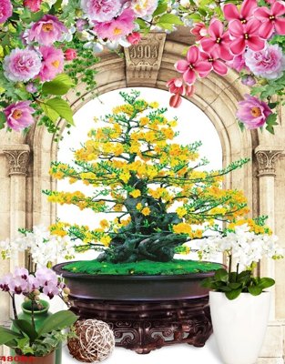 Tải xuống file tranh gốc File tranh chậu mai bonsai 480BS (PSD/TIFF)