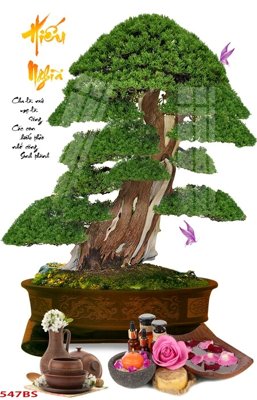 File gốc in ấn File tranh chậu mai bonsai 547BS độ phân giải cao