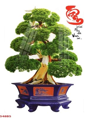 File gốc File tranh chậu mai bonsai 548BS (trang trí) phòng làm việc
