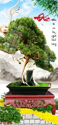 Tải file gốc File tranh chậu mai bonsai 552BS (bản PSD) đầy đủ layer