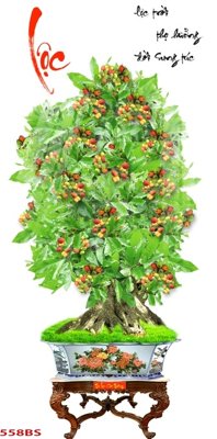File ảnh File tranh chậu mai bonsai 558BS (gốc) in biển hiệu