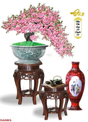 File in ấn File tranh chậu mai bonsai 560BS chuyên nghiệp