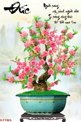 Tải file File tranh chậu mai bonsai 577BS (gốc) làm file thiết kế