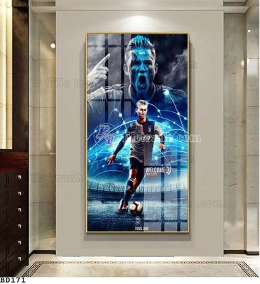 File tranh File tranh treo bóng đá BD170 (gốc) chủ đề động vật