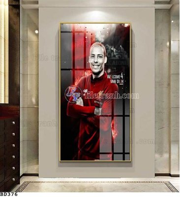 File tranh File tranh treo bóng đá BD375 (ảnh gốc) in trần nhà