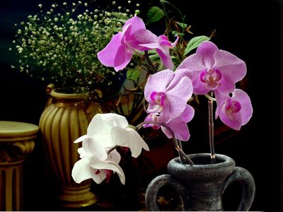 File tranh File tranh bình hoa BHY235 (bản gốc) in canvas