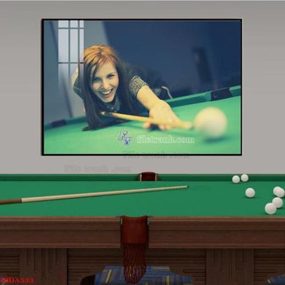 File in lụa File tranh quán bida bi-a BILLARD BIDA533 (hoa văn) File tranh quán bida bi-a BILLARD BIDA533