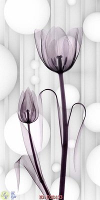 File tranh File lối vào D3D133 (ảnh gốc) in trần xuyên sáng