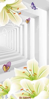 File ảnh gốc File lối vào D3D170 không vỡ nét