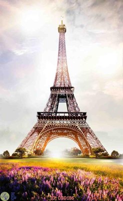 Cung cấp file tranh gốc File lối vào D3D186 độc quyền