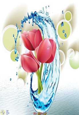 File gốc File lối vào D3D217 (PSD/TIFF) độ phân giải cao