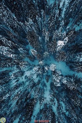 File gốc File lối vào D3D320 (dành cho quảng cáo)