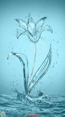 File PSD File lối vào D3D358 (bản gốc) độ phân giải cao