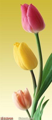 File gốc File tranh đứng lối vào D3D464 (in lụa) tranh phong thủy