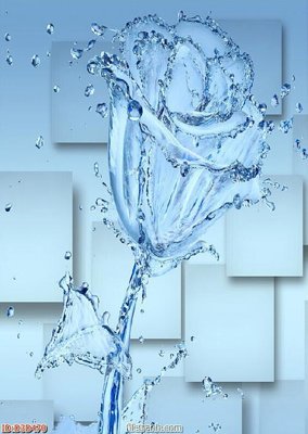 File in trần File tranh đứng lối vào D3D470 (bản gốc) 5D