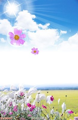 File gốc File tranh đứng lối vào D3D477 (cho in UV) siêu nét