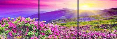 File tranh Tranh cánh đồng hoa DC102 (ảnh gốc) độc quyền