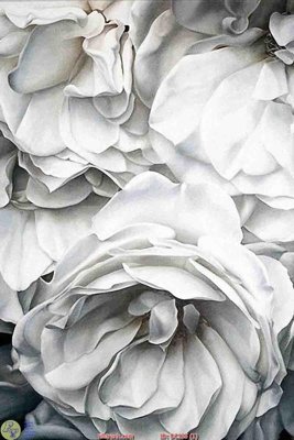 File in mica Tranh treo hiện đại DC155 (bản gốc) làm vách ngăn