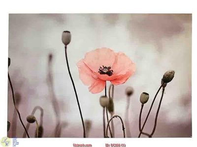 Download file tranh PSD Tranh treo hiện đại DC186 để chỉnh sửa