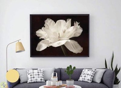 Tệp tin gốc Tranh bồn hoa trắng DC197 (chất lượng) Tranh bồn hoa trắng DC197