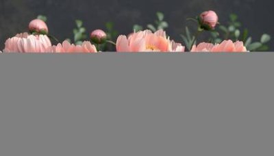 File in trần File gốc in bộ tranh decor treo tường đẹp hoa 5d DC3202 (bản gốc) mây trời