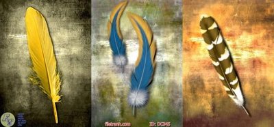 Tải file tranh gốc Tranh con cá DC345 chất lượng cao