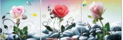File ảnh Tranh bộ ba hoa hồng DC53 (gốc) in decal dán tường