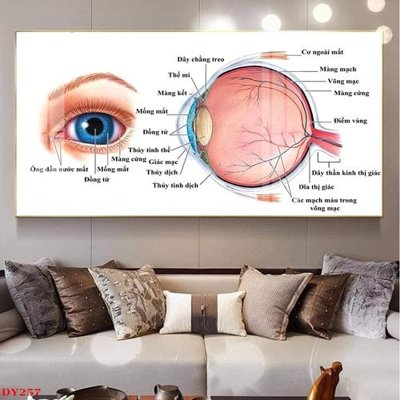 Tải file PSD Tranh trang trí đông y spa môi mi DY257 (nguyên layer) để in