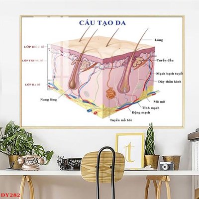 File in mica Tranh trang trí đông y spa môi mi DY282 (ảnh gốc) đẹp