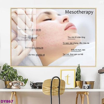 File ảnh Tranh trang trí đông y dưỡng sinh spa môi mi DY867 (gốc) in poster