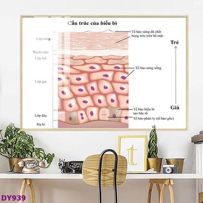 File tranh Tranh trang trí đông y dưỡng sinh spa môi mi DY939 (ảnh gốc) in trần nhà