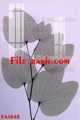 Chi tiết file ảnh File gốc in bộ tranh decor treo tráng gương canvas FA1642 sắc nét