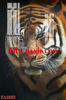 File in ấn File gốc in bộ tranh decor treo tráng gương canvas FA1853 chuyên nghiệp