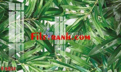 Tải file gốc File gốc in bộ tranh decor treo tráng gương canvas FA211 (in khổ lớn) không mờ