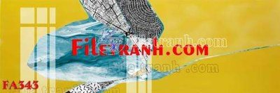 File in trần File gốc in bộ tranh decor treo tráng gương canvas FA343 (bản gốc) hoa văn