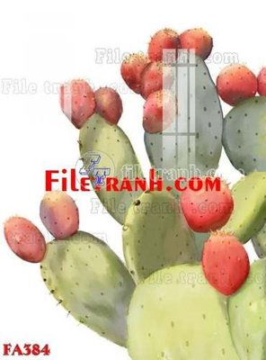 File in ấn File gốc in bộ tranh decor treo tráng gương canvas FA384 (bản gốc) sắc nét