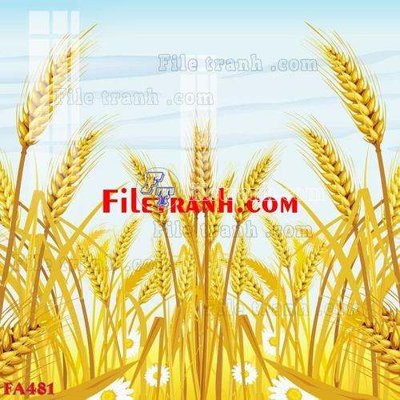 Tải file File gốc in bộ tranh decor treo tráng gương canvas FA481 (gốc) in nhanh