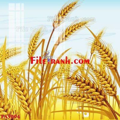 File gốc File gốc in bộ tranh decor treo tráng gương canvas FA5294 (dành cho trang trí nội thất)